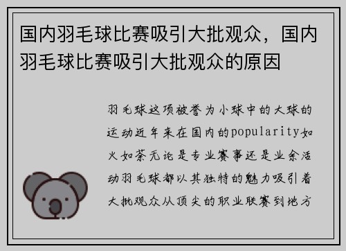 国内羽毛球比赛吸引大批观众，国内羽毛球比赛吸引大批观众的原因