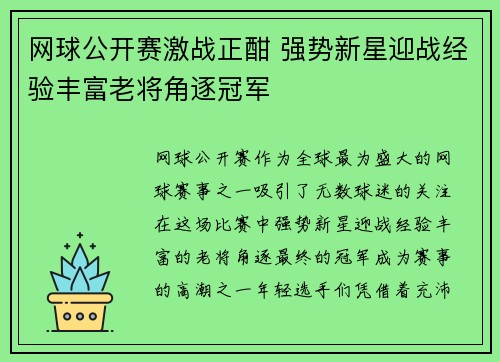 网球公开赛激战正酣 强势新星迎战经验丰富老将角逐冠军