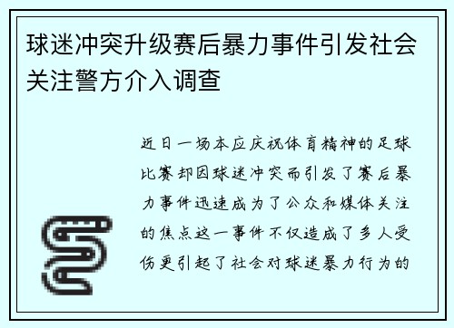 球迷冲突升级赛后暴力事件引发社会关注警方介入调查