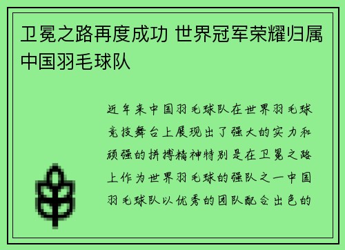 卫冕之路再度成功 世界冠军荣耀归属中国羽毛球队